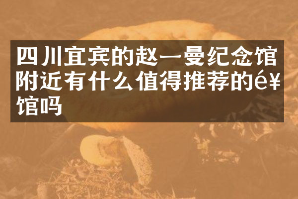 四川宜宾的赵一曼纪念馆附近有什么值得推荐的饭馆吗