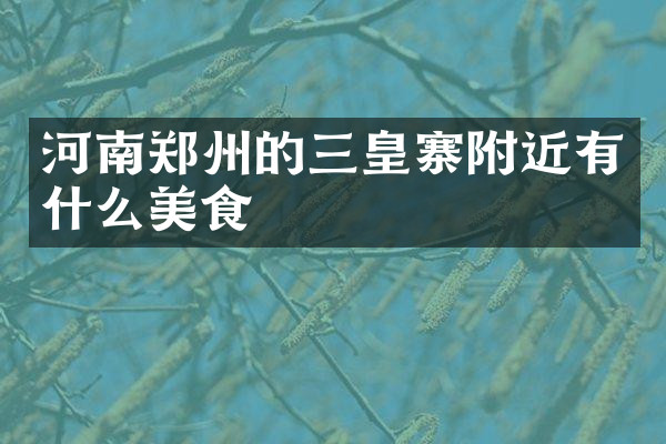 河南郑州的三皇寨附近有什么美食