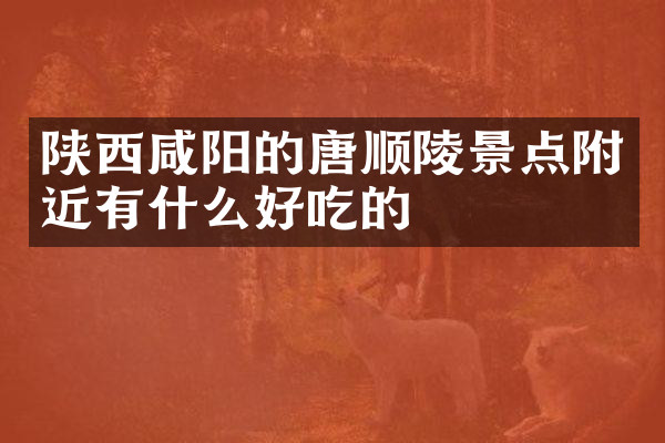 陕西咸阳的唐顺陵景点附近有什么好吃的