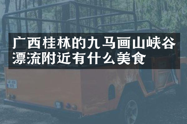 广西桂林的九马画山峡谷漂流附近有什么美食