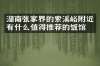 湖南张家界的索溪峪附近有什么值得推荐的饭馆吗
