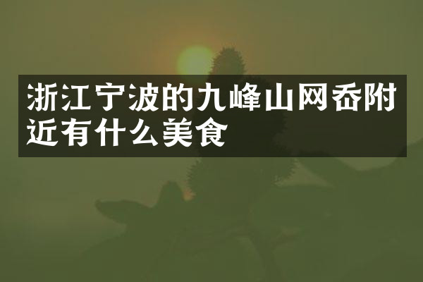 浙江宁波的九峰山网岙附近有什么美食