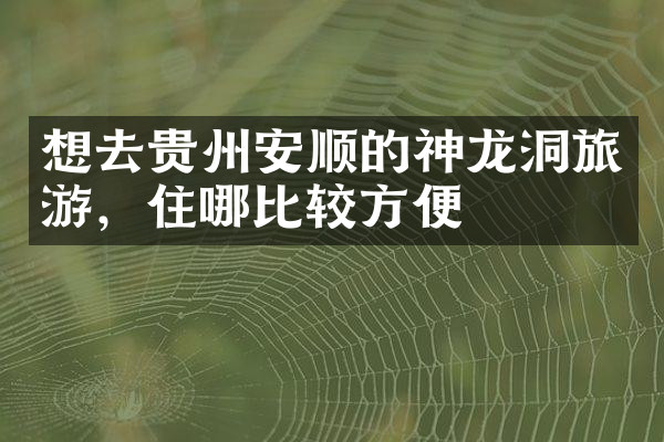 想去贵州安顺的神龙洞旅游，住哪比较方便
