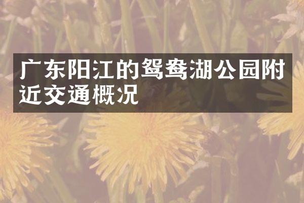 广东阳江的鸳鸯湖公园附近交通概况