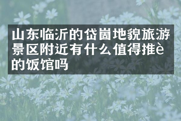 山东临沂的岱崮地貌旅游景区附近有什么值得推荐的饭馆吗