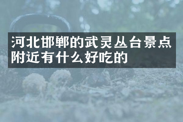 河北邯郸的武灵丛台景点附近有什么好吃的