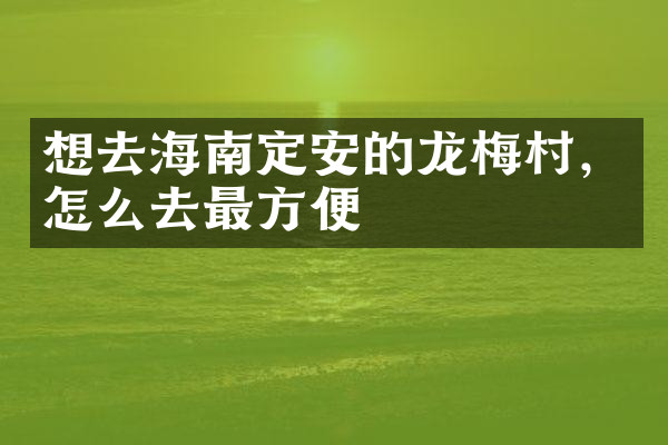 想去海南定安的龙梅村，怎么去最方便
