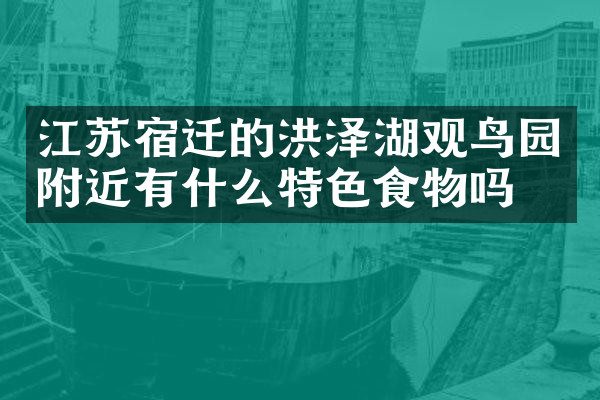 江苏宿迁的洪泽湖观鸟园附近有什么特色食物吗