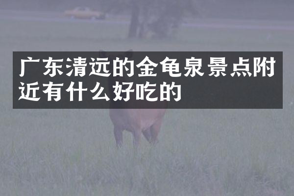 广东清远的金龟泉景点附近有什么好吃的