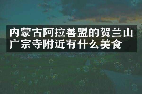 内蒙古阿拉善盟的贺兰山广宗寺附近有什么美食