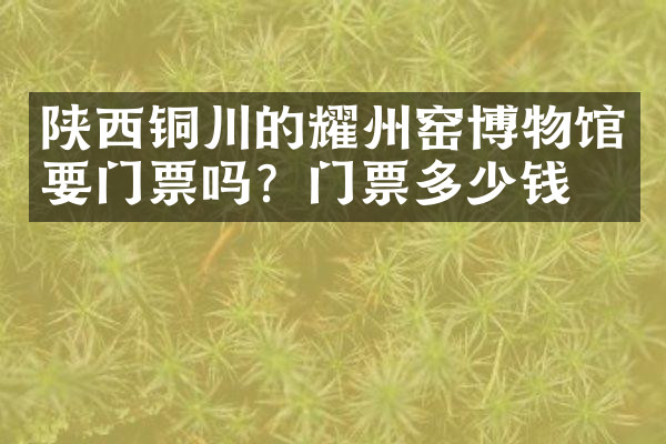 陕西铜川的耀州窑博物馆要门票吗？门票多少钱？