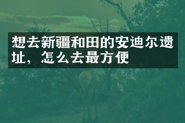 想去新疆和田的安迪尔遗址，怎么去最方便