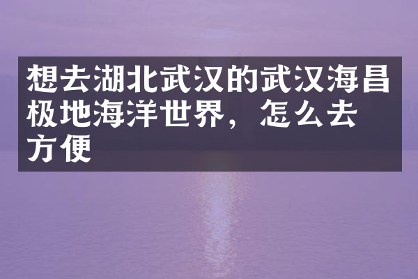 想去湖北武汉的武汉海昌极地海洋世界，怎么去最方便