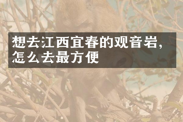想去江西宜春的观音岩，怎么去最方便