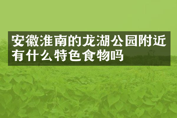 安徽淮南的龙湖公园附近有什么特色食物吗