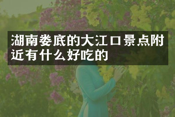 湖南娄底的大江口景点附近有什么好吃的