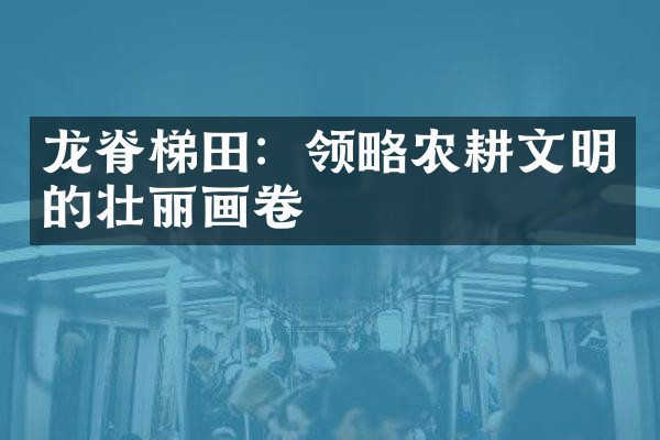 龙脊梯田：领略农耕文明的壮丽画卷
