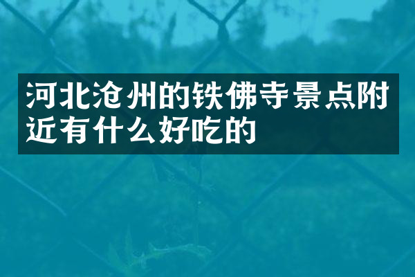 河北沧州的铁佛寺景点附近有什么好吃的