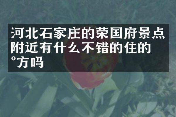 河北石家庄的荣国府景点附近有什么不错的住的地方吗