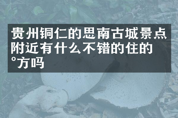 贵州铜仁的思南古城景点附近有什么不错的住的地方吗