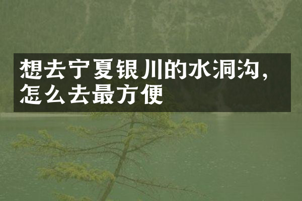 想去宁夏银川的水洞沟，怎么去最方便