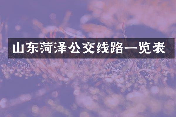 山东菏泽公交线路一览表
