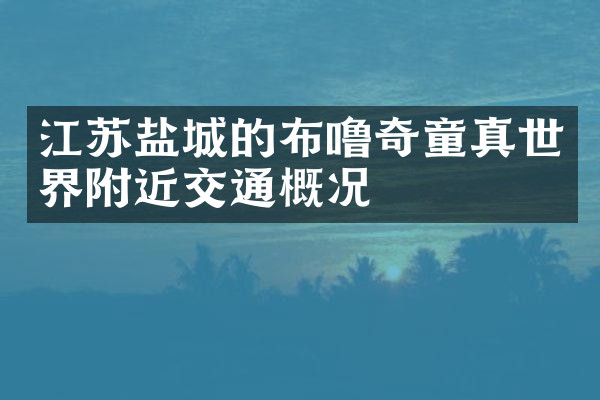 江苏盐城的布噜奇童真世界附近交通概况