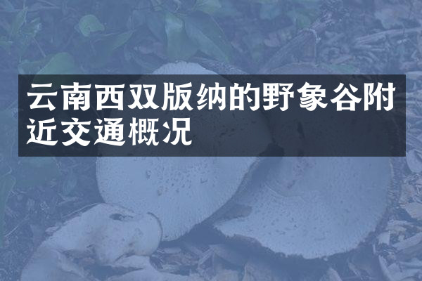 云南西双版纳的野象谷附近交通概况