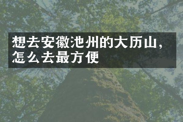 想去安徽池州的大历山，怎么去最方便