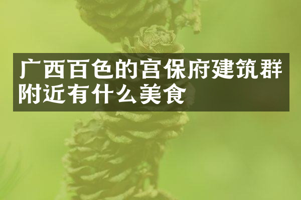广西百色的宫保府建筑群附近有什么美食