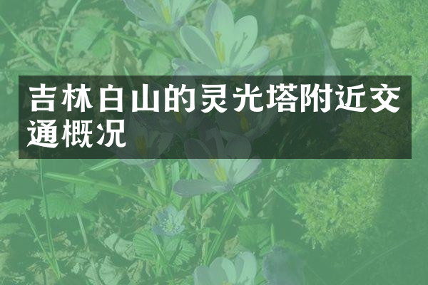 吉林白山的灵光塔附近交通概况