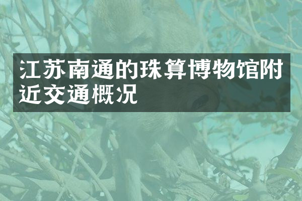江苏南通的珠算博物馆附近交通概况
