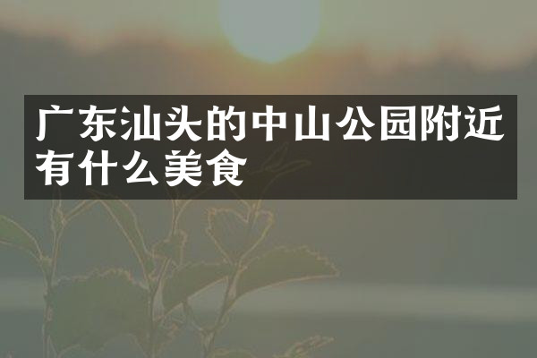 广东汕头的中山公园附近有什么美食