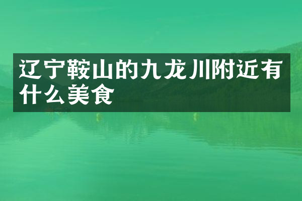 辽宁鞍山的九龙川附近有什么美食