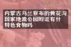 内蒙古乌兰察布的黄花沟国家地质公园附近有什么特色食物吗