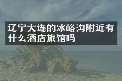 辽宁大连的冰峪沟附近有什么酒店旅馆吗