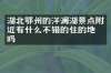 湖北鄂州的洋澜湖景点附近有什么不错的住的地方吗