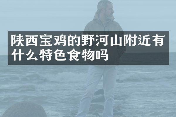 陕西宝鸡的野河山附近有什么特色食物吗