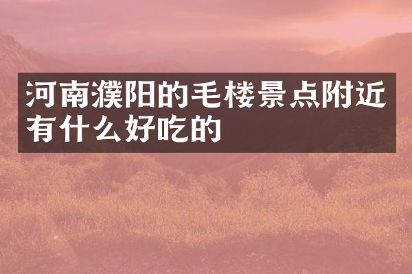 河南濮阳的毛楼景点附近有什么好吃的