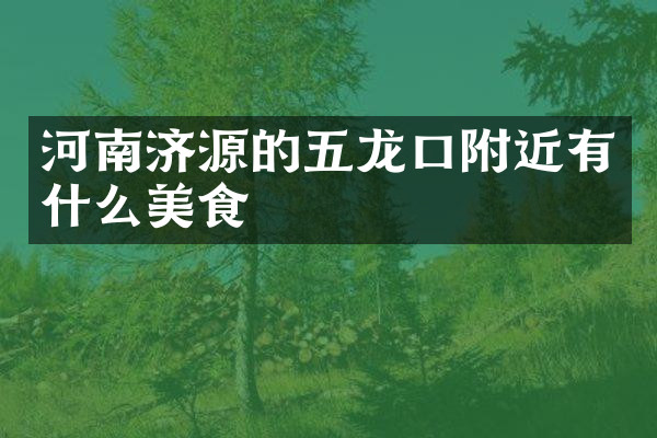 河南济源的五龙口附近有什么美食