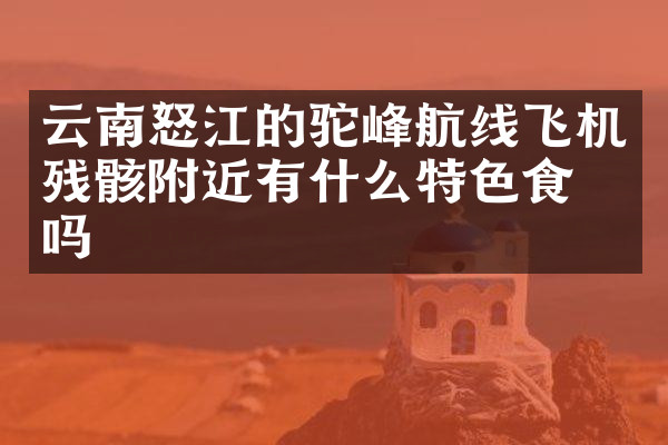 云南怒江的驼峰航线飞机残骸附近有什么特色食物吗