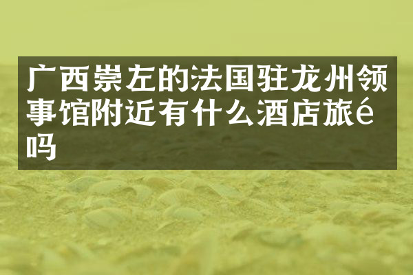 广西崇左的法国驻龙州领事馆附近有什么酒店旅馆吗