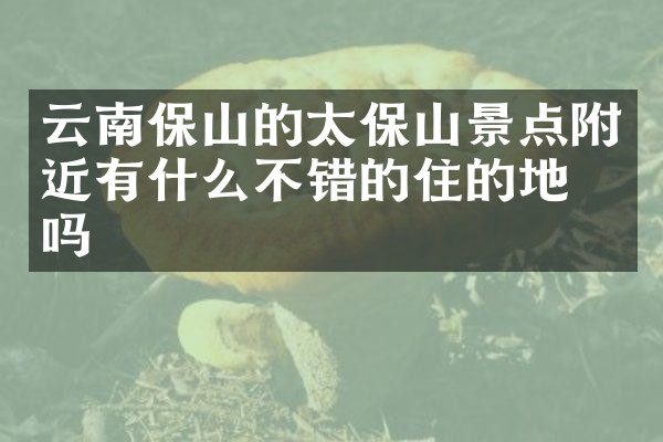 云南保山的太保山景点附近有什么不错的住的地方吗