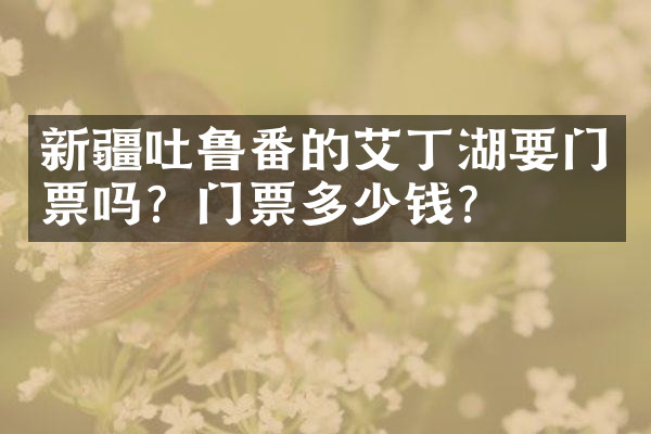 新疆吐鲁番的艾丁湖要门票吗？门票多少钱？