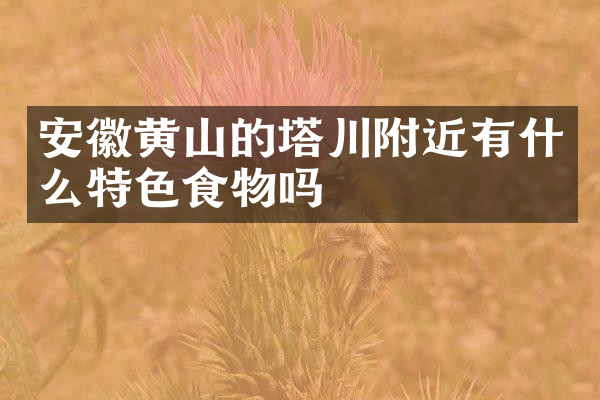 安徽黄山的塔川附近有什么特色食物吗