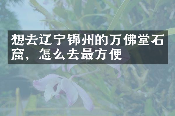 想去辽宁锦州的万佛堂石窟，怎么去最方便