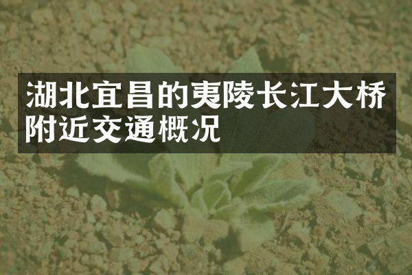 湖北宜昌的夷陵长江大桥附近交通概况