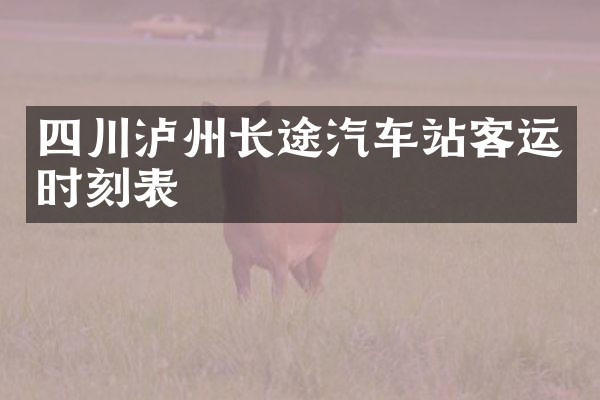 四川泸州长途汽车站客运时刻表
