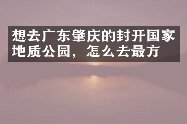 想去广东肇庆的封开国家地质公园，怎么去最方便