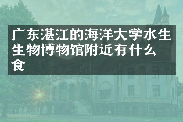 广东湛江的海洋大学水生生物博物馆附近有什么美食